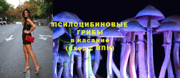 бошки Алзамай
